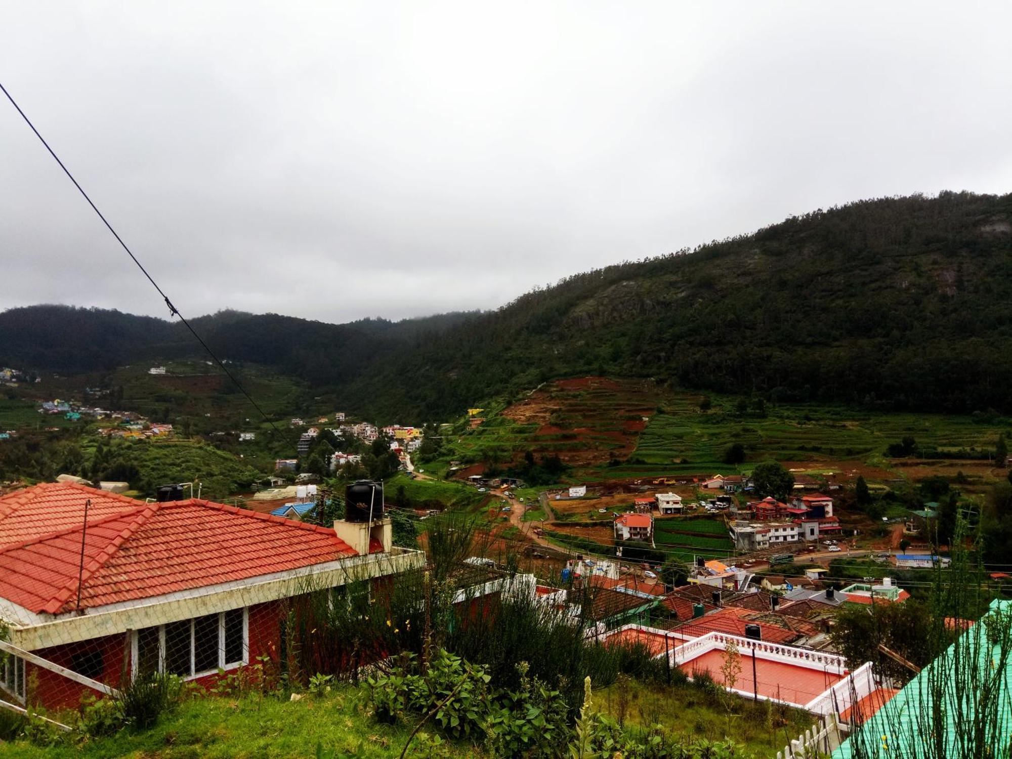 Hill View Dream *